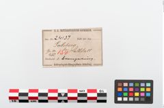Etiketten zu Bronzegehängering (NHMW-PRAE-024137)